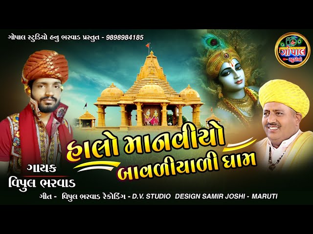 Halo Manviyo Bavliyali Dham ! હાલો માનવીયો બાવળીયાળી ધામ / Vipul Bharwad/ Thakar Dhani 2024 Song