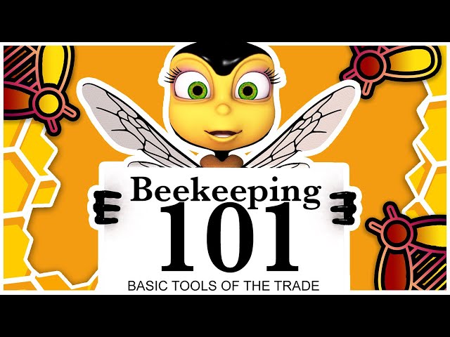 Beekeeping 101: A Guide for Beginners