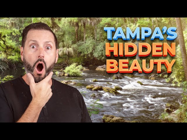 Top Reasons You Should Move to Tampa Bay Florida | Part 3