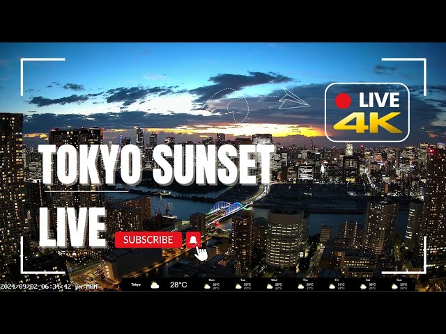 [Live] 4K 東京 ライブカメラ Kachidoki sunset view Tokyo Live camera