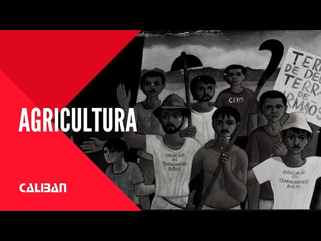 FILME | Agricultura Tamanho Família, 2014