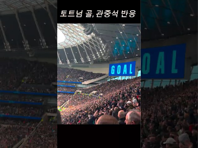 토트넘이 골을 넣으면, 5만명 관중석의 반응은? #coys #tottenham #football #sonheungmin #손흥민