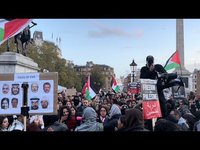 Thousands of people have joined pro-Palestine protest calling an end to Israel bombardment of Gaza