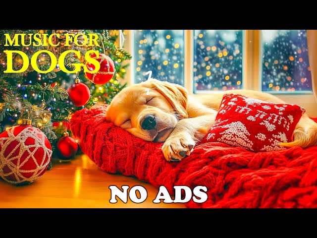 Christmas is coming🎄🎅Soothing music to comfort your Dog🎄Calming Holiday Melodies To Keep Your Dogs