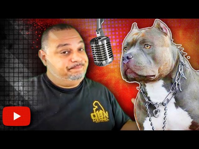 Is This The End Of The American Bully?