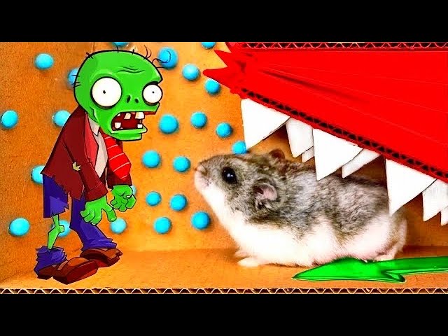 🐹🧟ZOMBIE Hamster Maze with Traps 😱[OBSTACLE COURSE]😱 + BONUS