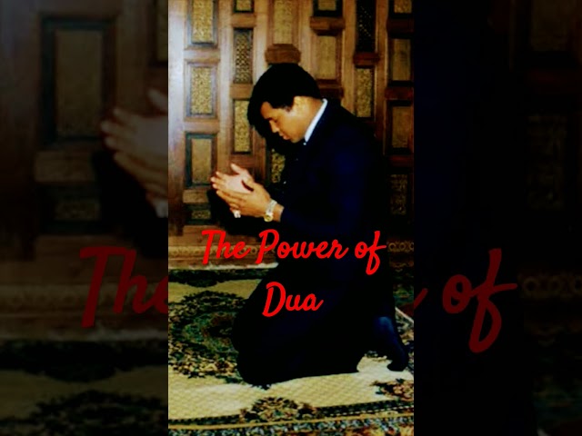 The Power Of Dua #peace #halal #reminder #dua #quranicblessings #islamicprayer #islamicshorts