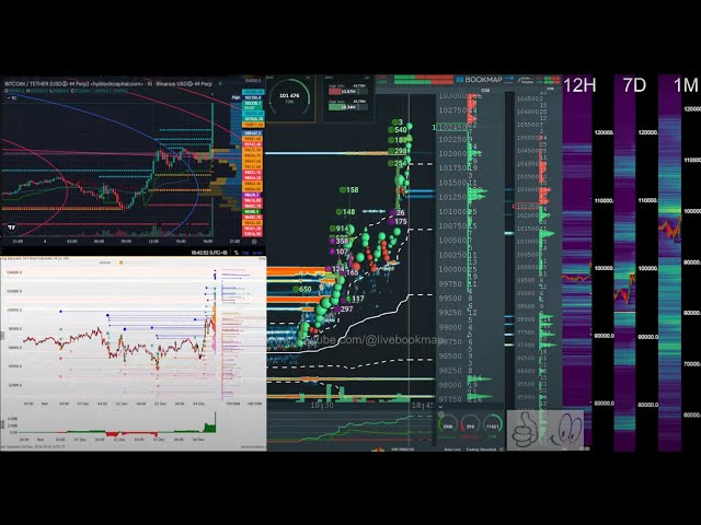 #btc #perp #live #bookmap #hyblock #liquidations #bitcoin