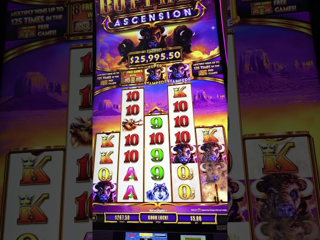 $5 Buffalo Ascension! Rio Hotel and Casino Angry Buffalo Slot Machine Jackpot Win in Las Vegas, NV!!