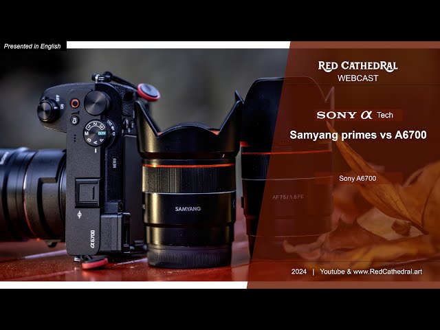 Sony tech - Sony A6700 vs Samyang primes #shorts