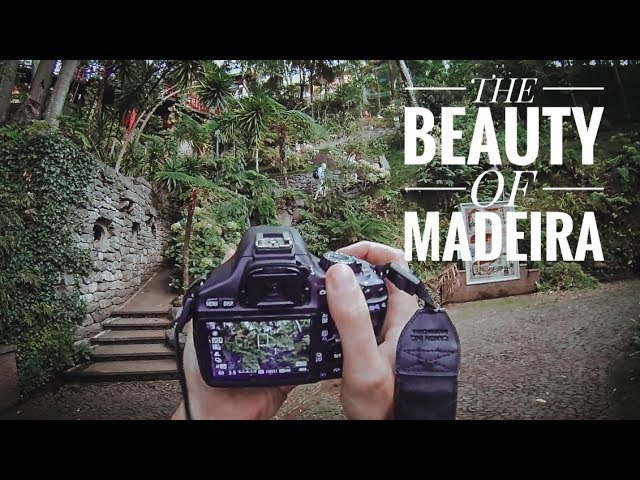 THE BEAUTY OF MADEIRA | POV | 2017