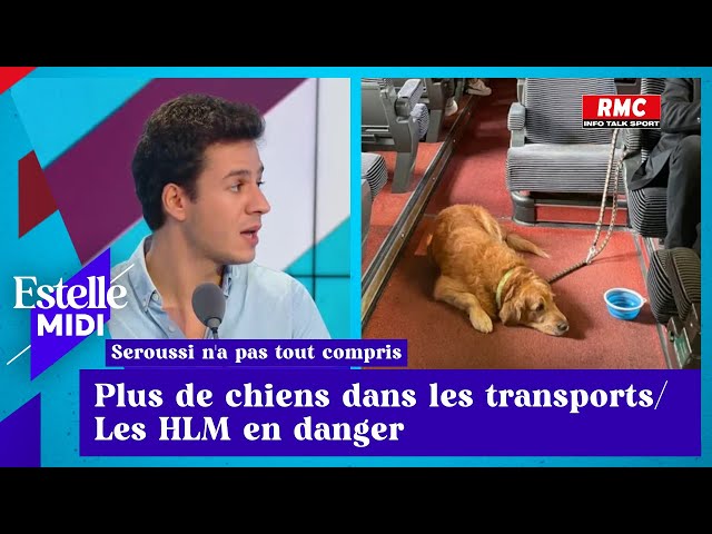 Vincent Seroussi: Plus de chien dans les transports ! / Les HLM en danger !