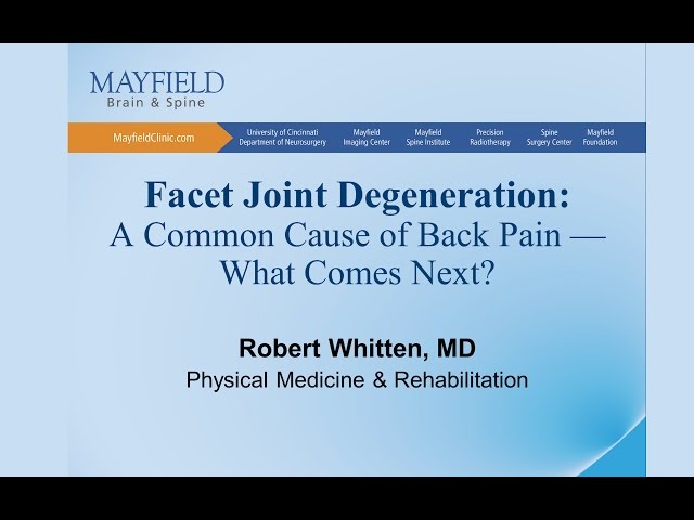 Facet Joint Degeneration/Arthritis: A Common Cause of Back Pain...What Comes Next?