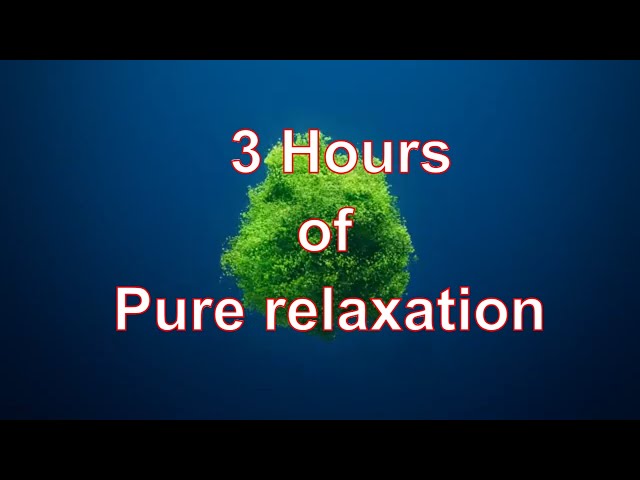 Soothing Sounds with Satisfying Animation for Relaxation • Ambient noise for Yoga and Meditation