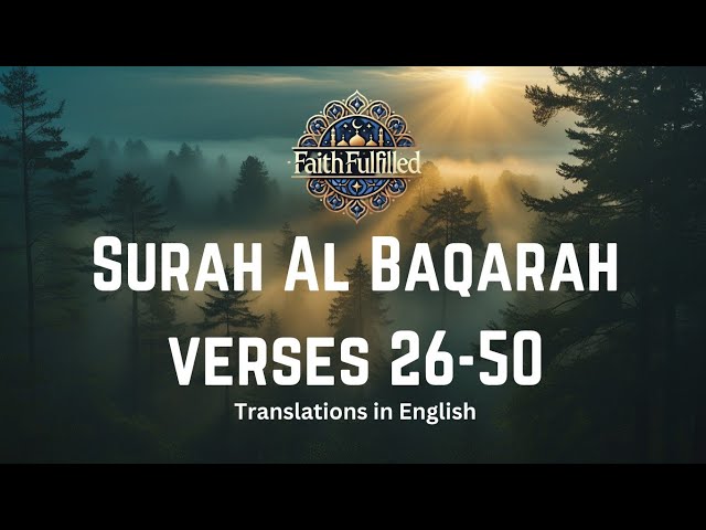 Quran Translations of Surah Al Baqarah Verses 26-50 | Dawah Islamic Knowledge #quran #translation