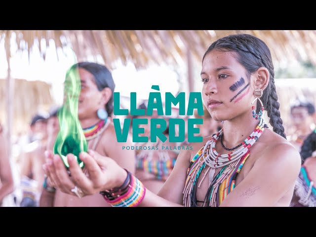 La Llama Verde: Cánticos de Sanación, Renovación y Equilibrio Interior