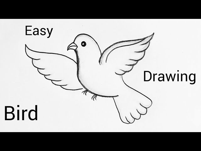 Easy Bird Drawing Step By Step | Bird Drawing | How To Draw A Bird Drawing 🐦