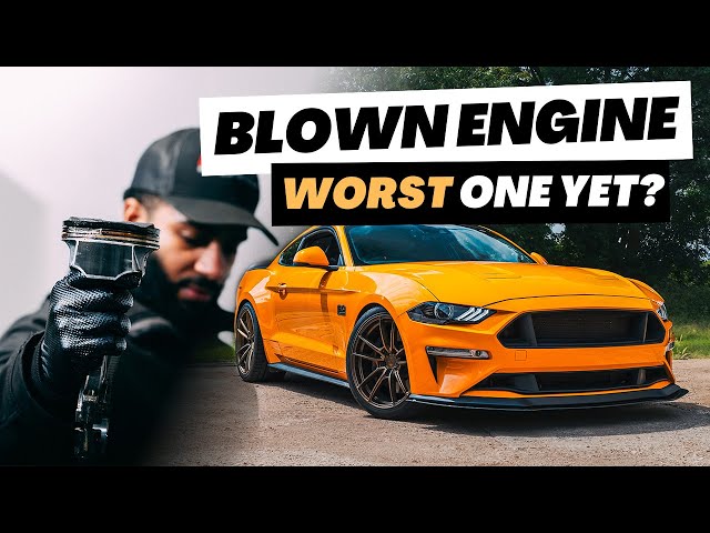 1,000WHP MUSTANG ENGINE REBUILD!