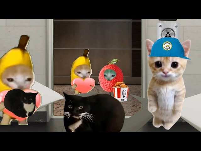 Baby Banana Cat Videos 😺❤️ 2 Minutes #106