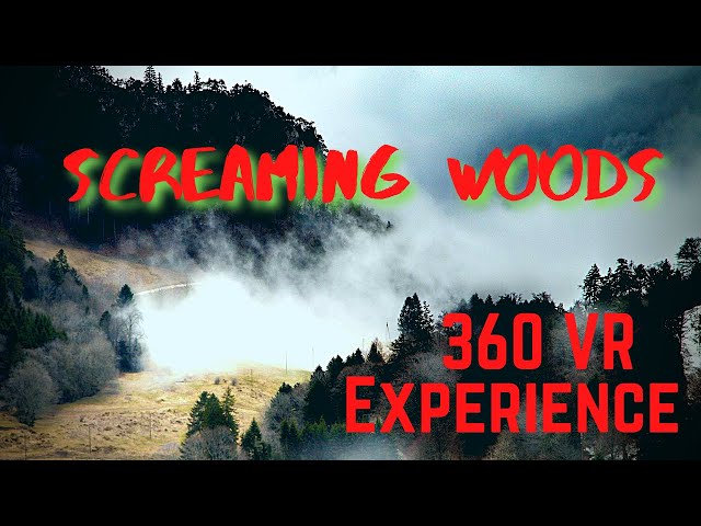 "Screaming Woods" 360 VR Experience