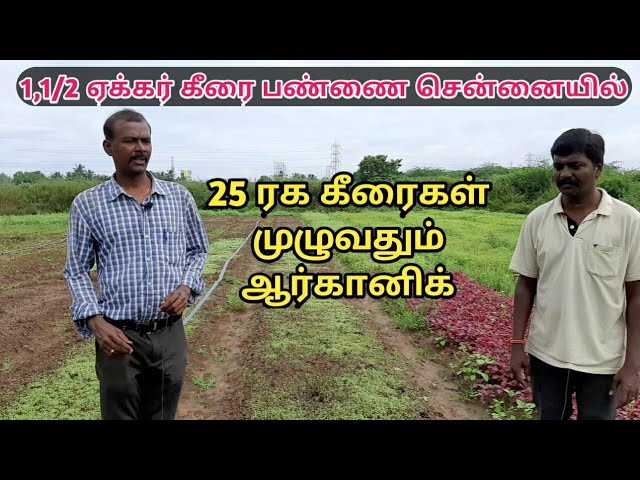 1,1/2 ஏக்கர் கீரை பண்ணை சென்னையில்