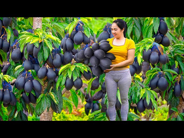 WOMAN Harvesting Devil's MAY LOI & Go to Market Sell | 6 DAYS living in forest | live stream