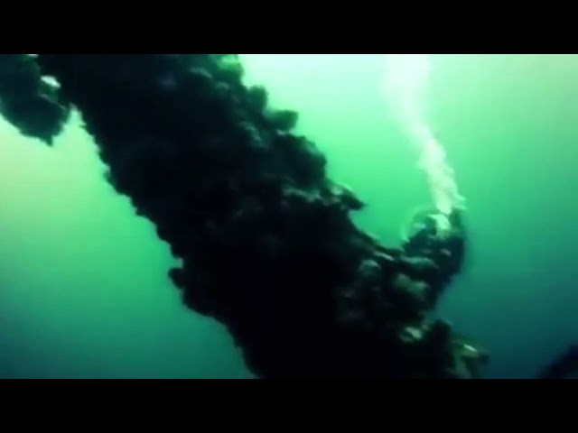 Oil Rig Dive in 2017