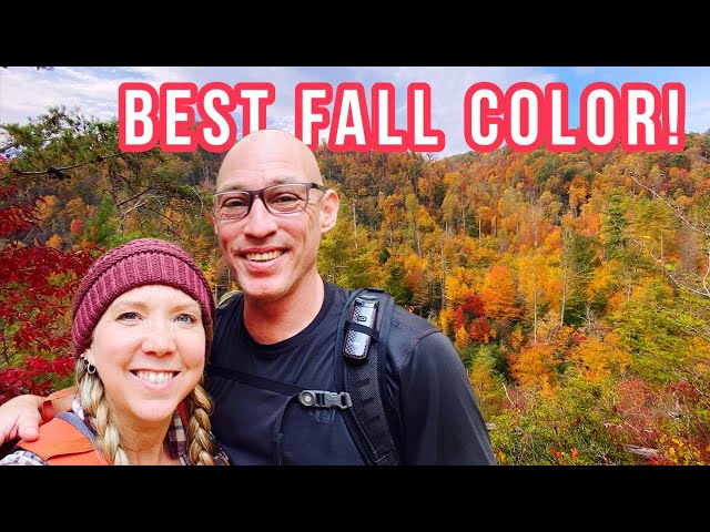 🍁 Hiking to find the BEST FALL COLOR in Great Smoky Mountains