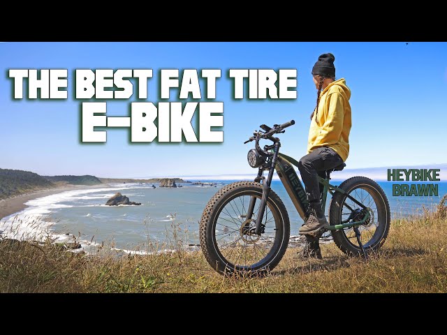 GOING WHERE NO EBIKE HAS GONE BEFORE with the HEYBIKE BRAWN #ebike #mountainbike #review