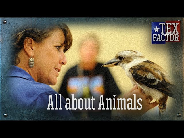 The Tex Factor: All About Animals