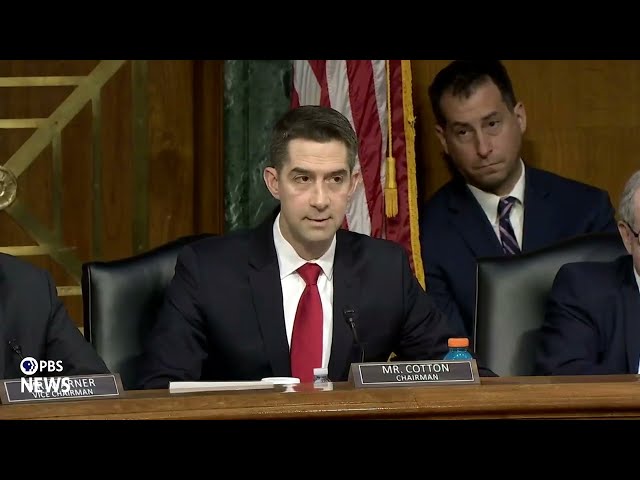 WATCH: Sen. Cotton defends Gabbard's 'unconventional' stance on non-democratic regimes