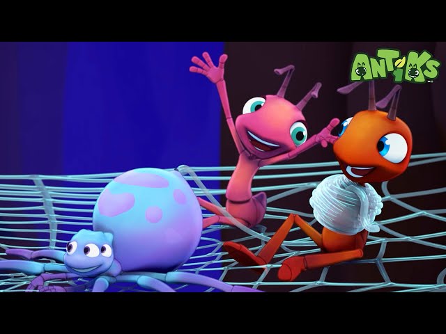 Can a Baby Spider be raised by Ants?! | ANTIKS | Funny Cartoons For All The Family!