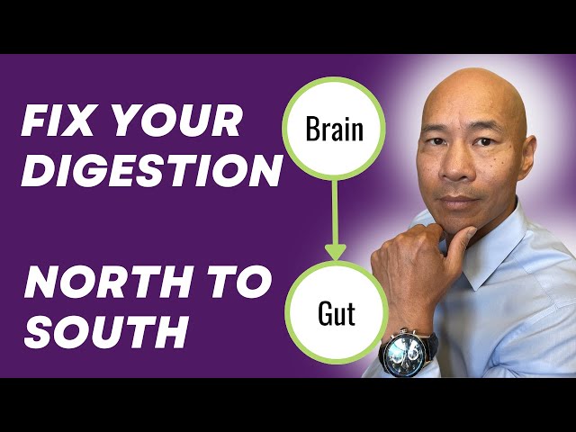 The Keys to Gut Health – Fix Digestion From North to South Starting With Your Brain! Dr. Peter Kan