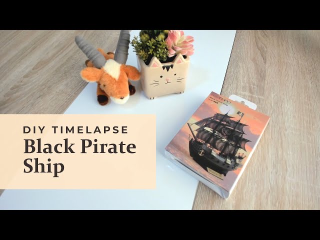 DIY Assembly: Black Pirate Ship (Paper Nano) - Timelapse