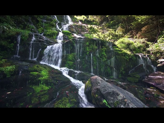 Soothing sound of a waterfall - calming ambience - calm your mind #relaxingsounds #sleepsounds