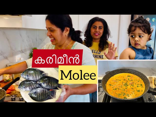 Fish Molee |കരിമീൻ കൊണ്ട് ഒരടിപൊളി ഫിഷ് മോളി ഉണ്ടാക്കി🐟😋🥰 #trendingnow #fishmolee #familyvlog #amma