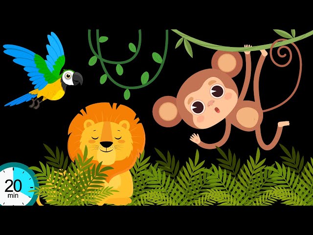 MONKEY'S JUNGLE ADVENTURE | BABY SENSORY | HIGH CONTRAST |VISUAL STIMULATION | GREAT BABY MUSIC