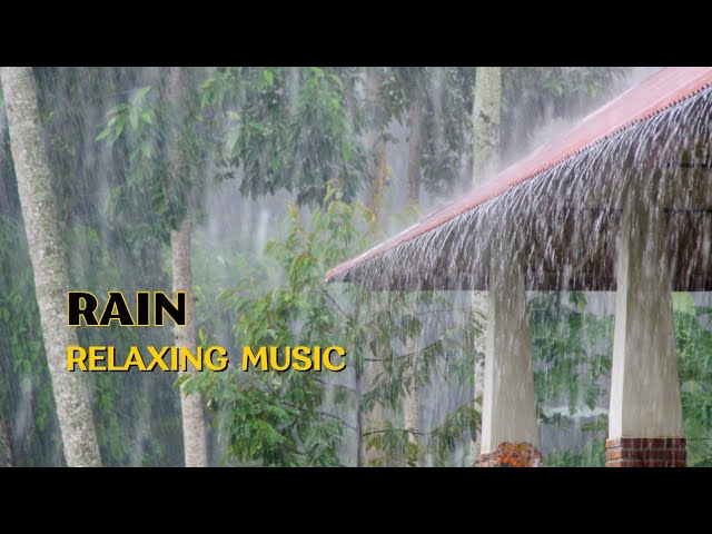 “Thunderstorm Sleep Sounds Live Stream | Relaxing Rain Sounds”