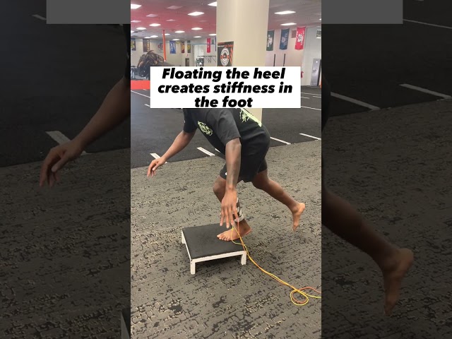 Ankle Rehab