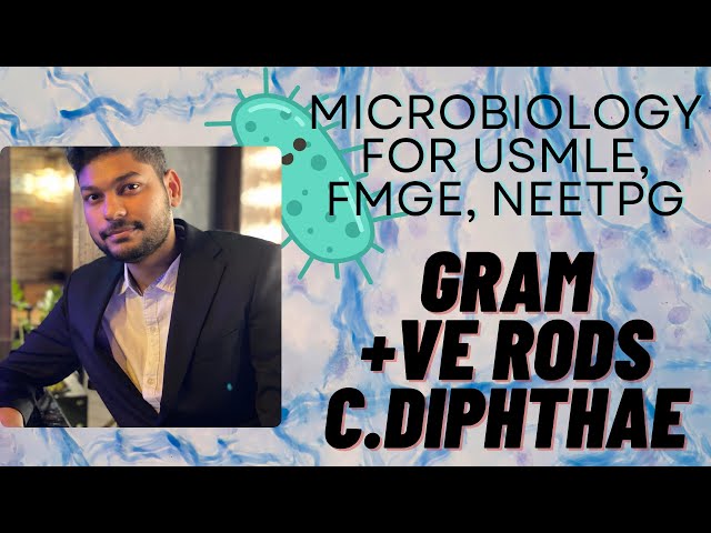 C.Diphtheria || Microbiology for USMLE,FMGE,NEETPG