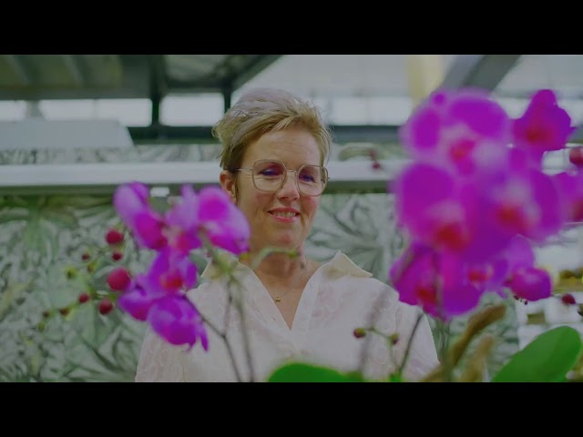 Corporate video Ter Laak Orchids (English)