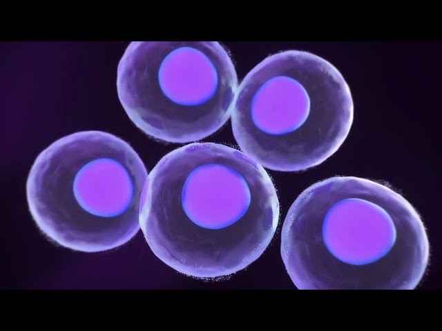 Asbestos Exposure and Molecular Mechanism Animation