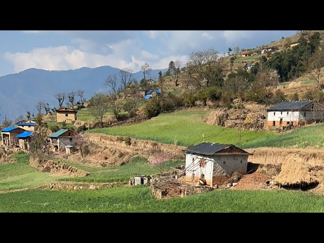 Good Morning from Jiree Village ❤️🙏|| IamSuman