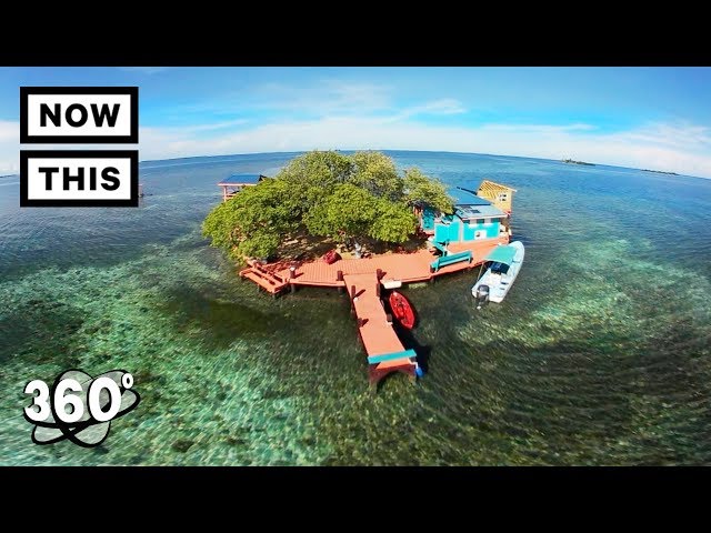 Bird Island: Paradise in Belize (360 Tour) | Unframed by Gear 360 | NowThis