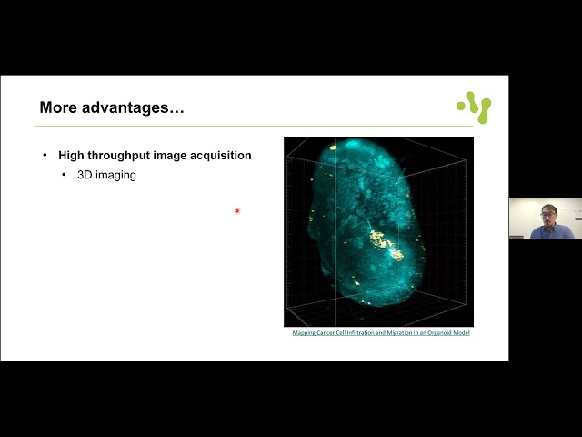 Introduction to Bioimage analysis - 2025