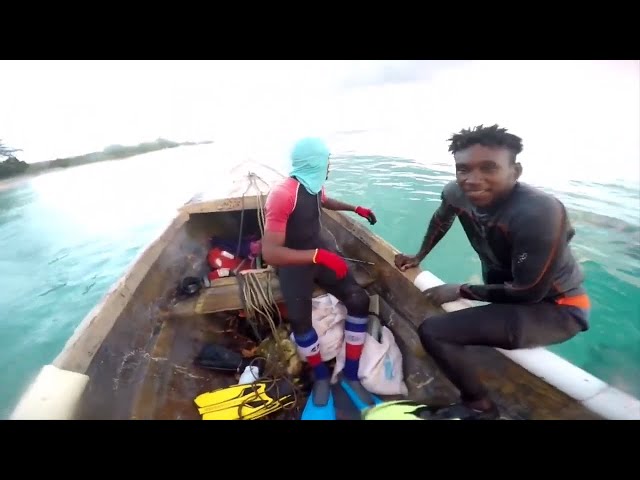 Spearfishing Adventure - With Odane And Friends