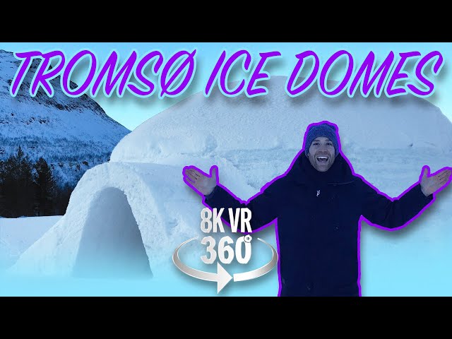 World's Finest Ice Sculptures - Guided Tour - 8K 360 VR Video!