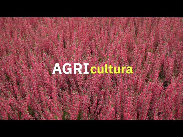 AGRIcultura - la filiera del florovivaismo