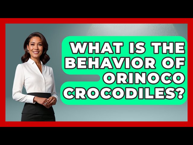 What Is The Behavior Of Orinoco Crocodiles? - Reptilian Wonders