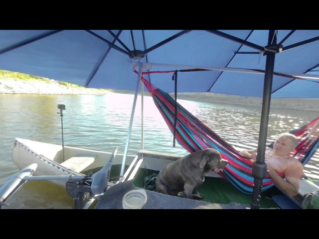 Side angle more 15x9 foot umbrella, two dogs, two canoes and a hammock.